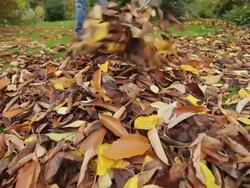 Autumn cleanup Stock Footage