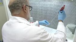 VOICED : Brasil declaro fin de emergencia para zika y microcefalia News Clip