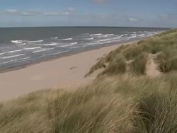 WS View of Marram grass swaying on breeze / Ostend, Flanders, Belgium Stock Footage