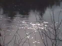 The river is slovley glide Stock Footage