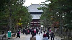 Autumn in Nara park, Japan. Stock Footage