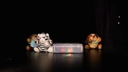 Babies And Learning Instructional Video