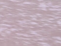 seperation Stock Footage