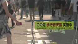 Akibahara Pedestrian Area. Tokyo, Japan Stock Footage