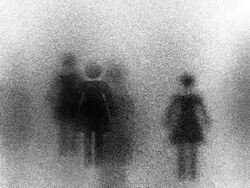 WOMAN : white back - (LOOP) Stock Footage