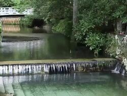 MS Small river in temple / Kouya, Wakayama, Japan Stock Footage