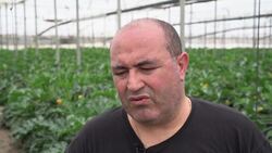 Spain's Vox sweeps town with anti-migrant message News Clip