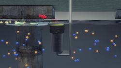 Ocean cleaning machine: Australian surfers quit jobs, invent Seabin to clean up ocean Instructional Video