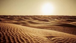 Sunset on Sahara Desert / Grand Erg Oriental / Tunisia Stock Footage