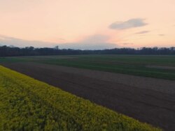 HD HELI: Cultivated Fields At Dusk Stock Footage