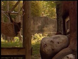 Zoo Atlanta is hoping primate picassos can charm crowds to raise awareness of the world's rapidly diminishing orangutan population. News Clip