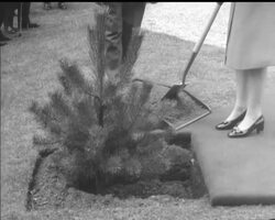 QUEEN AT HARROW SCHOOL News Clip