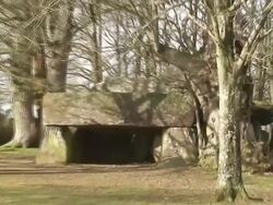 La Roche Aux FÃ©es - French Brittany Stock Footage