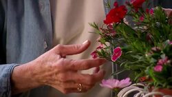 A  woman touches flowers on a potted plant. Stock Footage