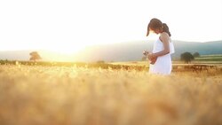 Musician in the nature Stock Footage