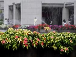 Water Fountain and People Stock Footage