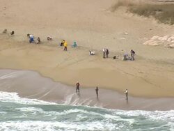 MS AERIAL View of fishermen / North Carolina, United States Stock Footage