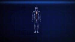 Antibiotics resistance costly and deadly Instructional Video