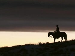 WS Cowboy riding horse on ridge silhouetted against the sunset / Shell, Wyoming, United States Stock Footage