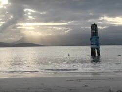 Puerto Rico Stock Footage