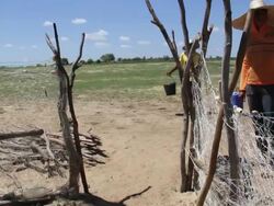MS Shot of Family collecting water from shafts / Pilao Arcado, Bahia, Brazil Stock Footage