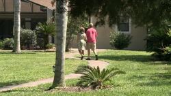 VOICED: Home 'squatters' help to sell America's empty houses News Clip