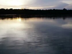 Congo River Water Track Stock Footage