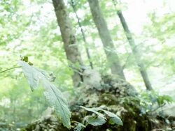 Paintball Player Running Stock Footage