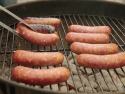 CU Sausages being grilled over charcoal / Portland, Oregon, United States Stock Footage