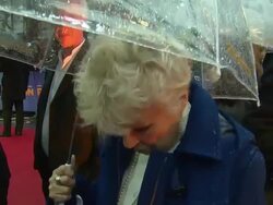 INTERVIEW - Julie Walters on the weather and the Natural History Museum at the world premiere of Paddington on 23rd November 2014 in London, England. Stock Footage