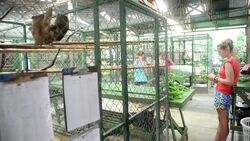 VOICED: Un santuario para perezosos News Clip