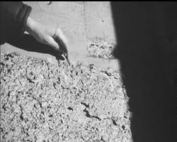 ST. PAUL'S APPEAL News Clip