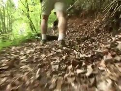 HD: Walking In The Forest Stock Footage