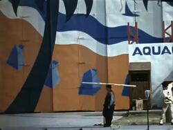 1939 World's Fair - Aquacade Stock Footage