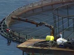 WS AERIAL ZI View of Two man working with crain boat at fish farm / Maine, United States Stock Footage