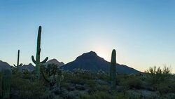 Sunrise at Saguaro National Monument Stock Footage