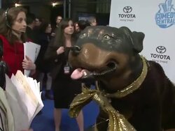 Night of Too Many Stars: An Overbooked Concert For Autism Education Stock Footage