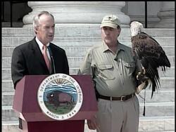 DV Bald Eagle (FF) News Clip