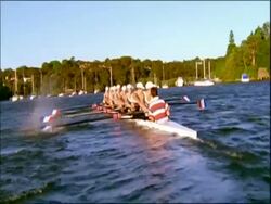 CU team of eight women in rowing boat, Australia Stock Footage