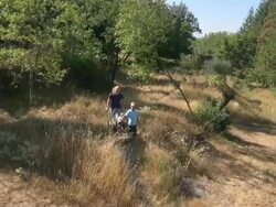 MS AERIAL View of mother and son transporting wood with wheelbarrow / Siena, Tuscany, Italy Stock Footage