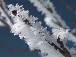 HD: Rime Stock Footage