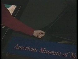 USA: NEW YORK: GIANT SQUID SPECIMEN GOES ON DISPLAY News Clip