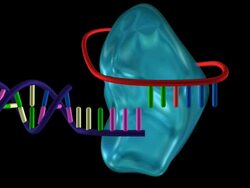 Telomerase enzyme. Stock Footage