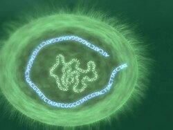 DNA uptake by a cell, animation. Stock Footage