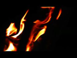 Flames in brazier, black background, close up Stock Footage