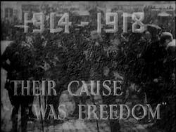 NOVEMBER 11TH 1940 - OLD COMRADES WE SALUTE YOU - News Clip