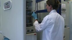 CLEAN : France considers embryo research bill News Clip