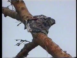 Bangladesh - Aftermath Of Tornado News Clip