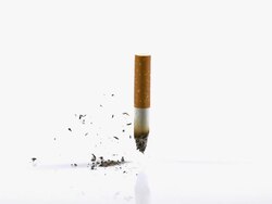 CU SLO MO Shot of Cigarette Butt Falling against White Background / Calvados, Normandy, France Stock Footage