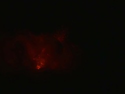 Lava and toxic fumes erupt from volcano at night, Stromboli, Italy. March 2010 / AUDIO Stock Footage